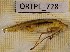  ( - BGE_00453_A05)  @11 [ ] CreativeCommons - Attribution Non-Commercial Share-Alike (2025) KZBiH, University of Lodz Department of Invertebrate Zoology and Hydrobiology, University of Lodz