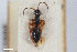  ( - BGE_00405_D10)  @11 [ ] CreativeCommons - Attribution Non-Commercial Share-Alike (2023) Unspecified Zoologisches Forschungsmuseum Alexander Koenig