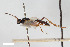  ( - BGE_00405_F11)  @11 [ ] CreativeCommons - Attribution Non-Commercial Share-Alike (2023) Unspecified Zoologisches Forschungsmuseum Alexander Koenig