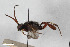  ( - BGE_00405_D07)  @11 [ ] CreativeCommons - Attribution Non-Commercial Share-Alike (2023) Unspecified Zoologisches Forschungsmuseum Alexander Koenig