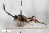  ( - BGE_00405_E06)  @11 [ ] CreativeCommons - Attribution Non-Commercial Share-Alike (2023) Unspecified Zoologisches Forschungsmuseum Alexander Koenig