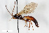  ( - BGE_00405_A05)  @11 [ ] CreativeCommons - Attribution Non-Commercial Share-Alike (2023) Unspecified Zoologisches Forschungsmuseum Alexander Koenig