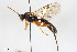  ( - BGE_00402_C10)  @11 [ ] CreativeCommons - Attribution Non-Commercial Share-Alike (2023) Unspecified Zoologisches Forschungsmuseum Alexander Koenig