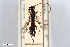  ( - BGE_00402_A12)  @11 [ ] CreativeCommons - Attribution Non-Commercial Share-Alike (2023) Unspecified Zoologisches Forschungsmuseum Alexander Koenig