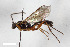  ( - BGE_00402_A12)  @11 [ ] CreativeCommons - Attribution Non-Commercial Share-Alike (2023) Unspecified Zoologisches Forschungsmuseum Alexander Koenig