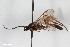  ( - BGE_00407_C09)  @11 [ ] CreativeCommons - Attribution Non-Commercial Share-Alike (2023) Unspecified Zoologisches Forschungsmuseum Alexander Koenig