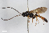  ( - BGE_00406_H10)  @11 [ ] CreativeCommons - Attribution Non-Commercial Share-Alike (2023) Unspecified Zoologisches Forschungsmuseum Alexander Koenig