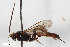  ( - BGE_00403_A11)  @11 [ ] CreativeCommons - Attribution Non-Commercial Share-Alike (2023) Unspecified Zoologisches Forschungsmuseum Alexander Koenig