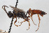  ( - BGE_00404_G06)  @11 [ ] CreativeCommons - Attribution Non-Commercial Share-Alike (2023) Unspecified Zoologisches Forschungsmuseum Alexander Koenig