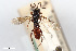  ( - BGE_00403_A12)  @11 [ ] CreativeCommons - Attribution Non-Commercial Share-Alike (2023) Unspecified Zoologisches Forschungsmuseum Alexander Koenig