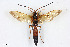  ( - BGE_00402_B04)  @11 [ ] CreativeCommons - Attribution Non-Commercial Share-Alike (2023) Unspecified Zoologisches Forschungsmuseum Alexander Koenig