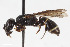  ( - BGE_00403_A04)  @11 [ ] CreativeCommons - Attribution Non-Commercial Share-Alike (2023) Unspecified Zoologisches Forschungsmuseum Alexander Koenig