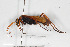  ( - BGE_00404_A08)  @11 [ ] CreativeCommons - Attribution Non-Commercial Share-Alike (2023) Unspecified Zoologisches Forschungsmuseum Alexander Koenig