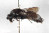  ( - BGE_00402_E08)  @11 [ ] CreativeCommons - Attribution Non-Commercial Share-Alike (2023) Unspecified Zoologisches Forschungsmuseum Alexander Koenig