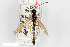  ( - BGE_00403_E07)  @11 [ ] CreativeCommons - Attribution Non-Commercial Share-Alike (2023) Unspecified Zoologisches Forschungsmuseum Alexander Koenig
