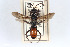  ( - BGE_00402_F09)  @11 [ ] CreativeCommons - Attribution Non-Commercial Share-Alike (2023) Unspecified Zoologisches Forschungsmuseum Alexander Koenig