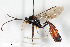  ( - BGE_00405_A03)  @11 [ ] CreativeCommons - Attribution Non-Commercial Share-Alike (2023) Unspecified Zoologisches Forschungsmuseum Alexander Koenig