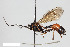  ( - BGE_00405_D02)  @11 [ ] CreativeCommons - Attribution Non-Commercial Share-Alike (2023) Unspecified Zoologisches Forschungsmuseum Alexander Koenig