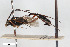  ( - BGE_00404_E09)  @11 [ ] CreativeCommons - Attribution Non-Commercial Share-Alike (2023) Unspecified Zoologisches Forschungsmuseum Alexander Koenig