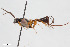  ( - BGE_00402_C07)  @11 [ ] CreativeCommons - Attribution Non-Commercial Share-Alike (2023) Unspecified Zoologisches Forschungsmuseum Alexander Koenig