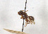  ( - BGE_00407_G01)  @11 [ ] CreativeCommons - Attribution Non-Commercial Share-Alike (2023) Unspecified Zoologisches Forschungsmuseum Alexander Koenig