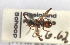  ( - BGE_00407_G02)  @11 [ ] CreativeCommons - Attribution Non-Commercial Share-Alike (2023) Unspecified Zoologisches Forschungsmuseum Alexander Koenig