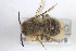  ( - BGE_00407_G06)  @11 [ ] CreativeCommons - Attribution Non-Commercial Share-Alike (2023) Unspecified Zoologisches Forschungsmuseum Alexander Koenig