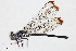  ( - BGE_00401_A01)  @11 [ ] CreativeCommons - Attribution Non-Commercial Share-Alike (2023) Unspecified Zoologisches Forschungsmuseum Alexander Koenig
