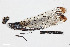  ( - BGE_00401_A02)  @11 [ ] CreativeCommons - Attribution Non-Commercial Share-Alike (2023) Unspecified Zoologisches Forschungsmuseum Alexander Koenig