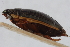  ( - BGE_00418_B11)  @11 [ ] CreativeCommons - Attribution Non-Commercial Share-Alike (2024) Unspecified Zoologisches Forschungsmuseum Alexander Koenig