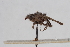  ( - BGE_00412_D04)  @11 [ ] CreativeCommons - Attribution Non-Commercial Share-Alike (2024) Unspecified Zoologisches Forschungsmuseum Alexander Koenig