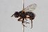  ( - BGE_00412_F07)  @11 [ ] CreativeCommons - Attribution Non-Commercial Share-Alike (2024) Unspecified Zoologisches Forschungsmuseum Alexander Koenig