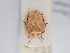  ( - BGE_ZSM_HET_0232)  @11 [ ] by-nc-sa (2024) SNSB, Staatliche Naturwissenschaftliche Sammlungen Bayerns ZSM (SNSB, Zoologische Staatssammlung Muenchen)