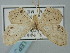  ( - BGE_ZSM_LEP_0301)  @11 [ ] by-nc-sa (2023) SNSB, Staatliche Naturwissenschaftliche Sammlungen Bayerns ZSM (SNSB, Zoologische Staatssammlung Muenchen)