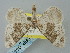  ( - BGE_ZSM_LEP_0447)  @11 [ ] by-nc-sa (2023) SNSB, Staatliche Naturwissenschaftliche Sammlungen Bayerns ZSM (SNSB, Zoologische Staatssammlung Muenchen)