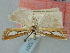  (Catoptria gozmanyi - BGE_ZSM_LEP_1201)  @11 [ ] by-nc-sa (2024) SNSB, Staatliche Naturwissenschaftliche Sammlungen Bayerns ZSM (SNSB, Zoologische Staatssammlung Muenchen)