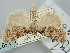 ( - BGE_ZSM_LEP_1397)  @11 [ ] by-nc-sa (2024) SNSB, Staatliche Naturwissenschaftliche Sammlungen Bayerns ZSM (SNSB, Zoologische Staatssammlung Muenchen)