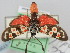  (Zygaena occitanica vandalitia - BGE_ZSM_LEP_1739)  @11 [ ] by-nc-sa (2024) SNSB, Staatliche Naturwissenschaftliche Sammlungen Bayerns ZSM (SNSB, Zoologische Staatssammlung Muenchen)