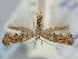  ( - BGE_ZSM_LEP_2383)  @11 [ ] by-nc-sa (2024) SNSB, Staatliche Naturwissenschaftliche Sammlungen Bayerns ZSM (SNSB, Zoologische Staatssammlung Muenchen)