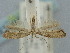  ( - BGE_ZSM_LEP_2384)  @11 [ ] by-nc-sa (2024) SNSB, Staatliche Naturwissenschaftliche Sammlungen Bayerns ZSM (SNSB, Zoologische Staatssammlung Muenchen)