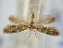  ( - BGE_ZSM_LEP_2454)  @11 [ ] by-nc-sa (2024) SNSB, Staatliche Naturwissenschaftliche Sammlungen Bayerns ZSM (SNSB, Zoologische Staatssammlung Muenchen)