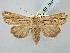  ( - BGE_ZSM_LEP_2791)  @11 [ ] by-nc-sa (2025) SNSB, Staatliche Naturwissenschaftliche Sammlungen Bayerns ZSM (SNSB, Zoologische Staatssammlung Muenchen)