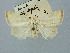  ( - BGE_ZSM_LEP_2991)  @11 [ ] by-nc-sa (2025) SNSB, Staatliche Naturwissenschaftliche Sammlungen Bayerns ZSM (SNSB, Zoologische Staatssammlung Muenchen)