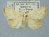  ( - BGE_ZSM_LEP_2998)  @11 [ ] by-nc-sa (2025) SNSB, Staatliche Naturwissenschaftliche Sammlungen Bayerns ZSM (SNSB, Zoologische Staatssammlung Muenchen)