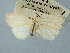  ( - BGE_ZSM_LEP_3156)  @11 [ ] by-nc-sa (2025) SNSB, Staatliche Naturwissenschaftliche Sammlungen Bayerns ZSM (SNSB, Zoologische Staatssammlung Muenchen)