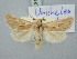  ( - BGE_ZSM_LEP_3194)  @11 [ ] by-nc-sa (2025) SNSB, Staatliche Naturwissenschaftliche Sammlungen Bayerns ZSM (SNSB, Zoologische Staatssammlung Muenchen)