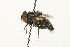 ( - HUBENOV-01-H07)  @13 [ ] CreativeCommons - Attribution (2010) Gergin Blagoev, Centre for Biodiversity Genomics Centre for Biodiversity Genomics