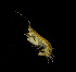  ( - BHAK-12038-FCBB)  @11 [ ] CreativeCommons Attribution Non-Commercial No Derivatives (2022) Matt Lemay Hakai Institute