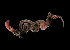  ( - BHAK-12144-FCBB)  @11 [ ] CreativeCommons Attribution Non-Commercial No Derivatives (2022) Matt Lemay Hakai Institute