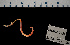  ( - BHAK-12221-FCBB)  @11 [ ] CreativeCommons Attribution Non-Commercial No Derivatives (2022) Matt Lemay Hakai Institute